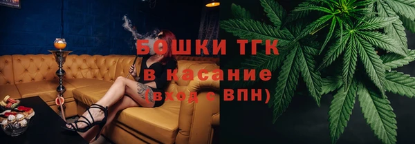PSILOCYBIN Белокуриха