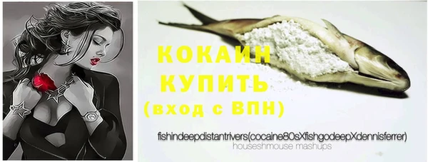 ПСИЛОЦИБИНОВЫЕ ГРИБЫ Белоозёрский