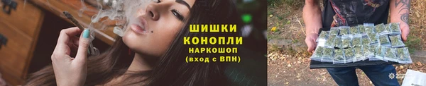 PSILOCYBIN Белокуриха