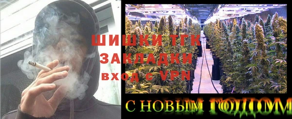 PSILOCYBIN Белокуриха
