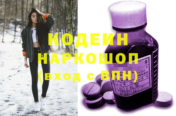 молекула духа Снежинск