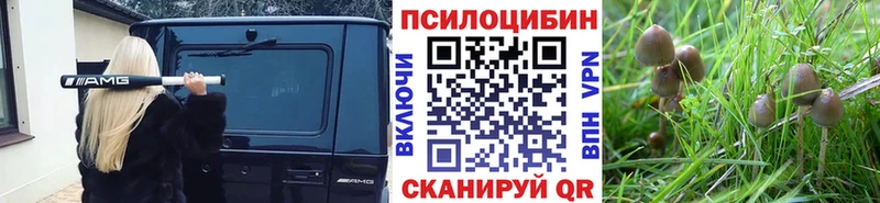 Псилоцибиновые грибы Magic Shrooms  Невельск 
